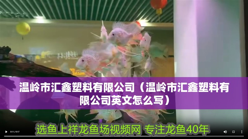 溫嶺市匯鑫塑料有限公司（溫嶺市匯鑫塑料有限公司英文怎么寫）