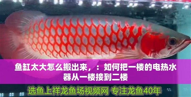 魚缸太大怎么搬出來，：如何把一樓的電熱水器從一樓接到二樓