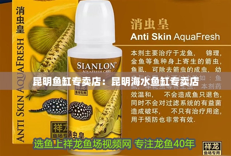 昆明魚缸專賣店：昆明海水魚缸專賣店