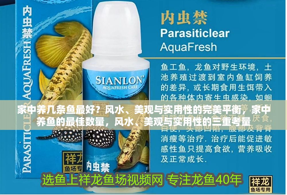 家中養幾條魚最好？風水、美觀與實用性的完美平衡，家中養魚的最佳數量，風水、美觀與實用性的三重考量