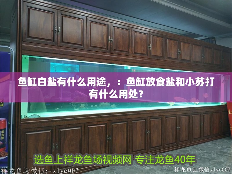 魚缸白鹽有什么用途，：魚缸放食鹽和小蘇打有什么用處？