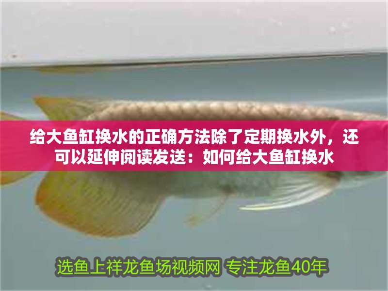 給大魚缸換水的正確方法除了定期換水外，還可以延伸閱讀發送：如何給大魚缸換水