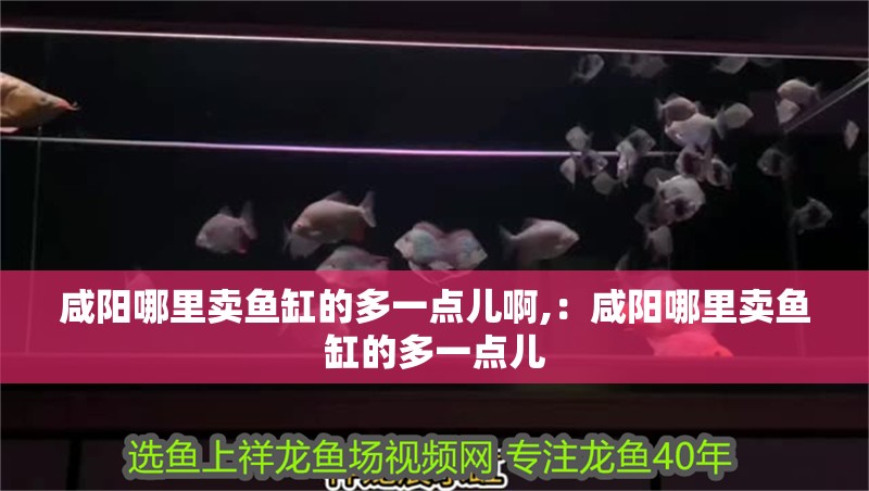 咸陽哪里賣魚缸的多一點兒啊,：咸陽哪里賣魚缸的多一點兒