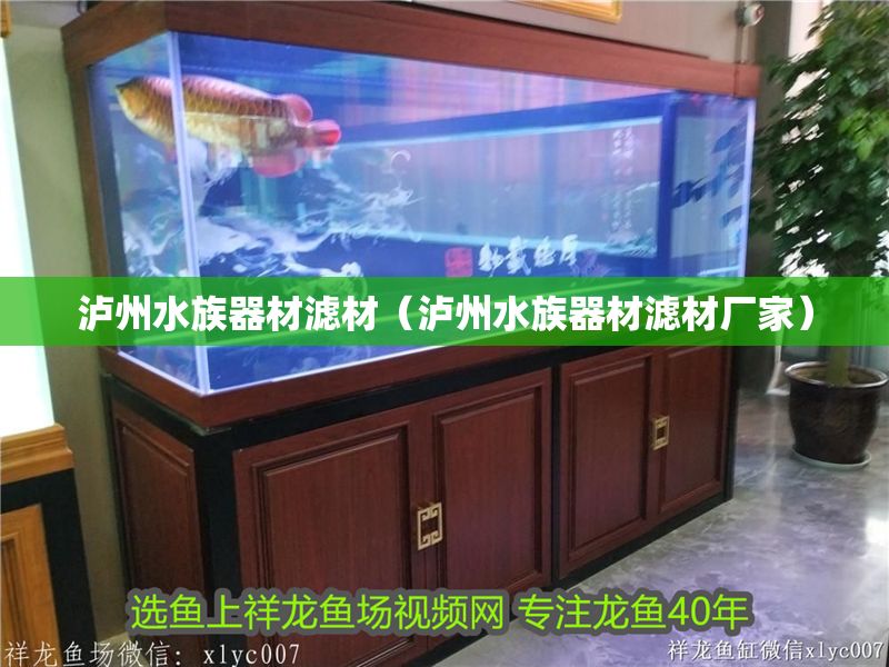 瀘州水族器材濾材（瀘州水族器材濾材廠家） 瀘州水族器材濾材（瀘州水族器材濾材廠家） 黃金貓魚百科 第1張