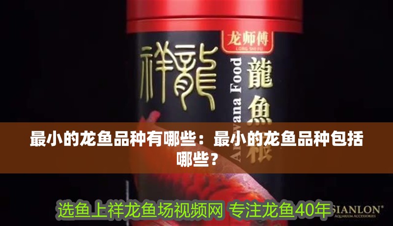 最小的龍魚品種有哪些：最小的龍魚品種包括哪些？