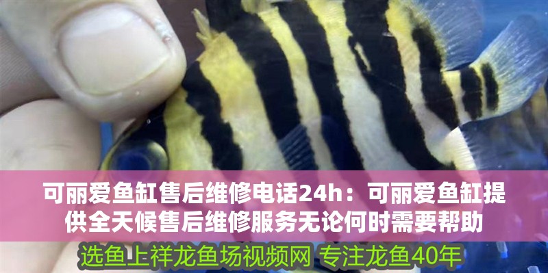 可麗愛魚缸售后維修電話24h：可麗愛魚缸提供全天候售后維修服務無論何時需要幫助