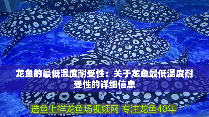龍魚的最低溫度耐受性：關于龍魚最低溫度耐受性的詳細信息