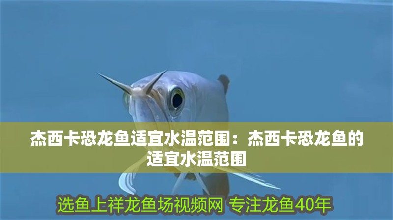 杰西卡恐龍魚適宜水溫范圍：杰西卡恐龍魚的適宜水溫范圍 杰西卡恐龍魚適宜水溫范圍：杰西卡恐龍魚的適宜水溫范圍 龍魚百科