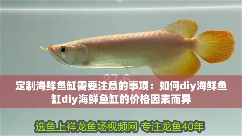 定制海鮮魚缸需要注意的事項(xiàng)：如何diy海鮮魚缸diy海鮮魚缸的價(jià)格因素而異