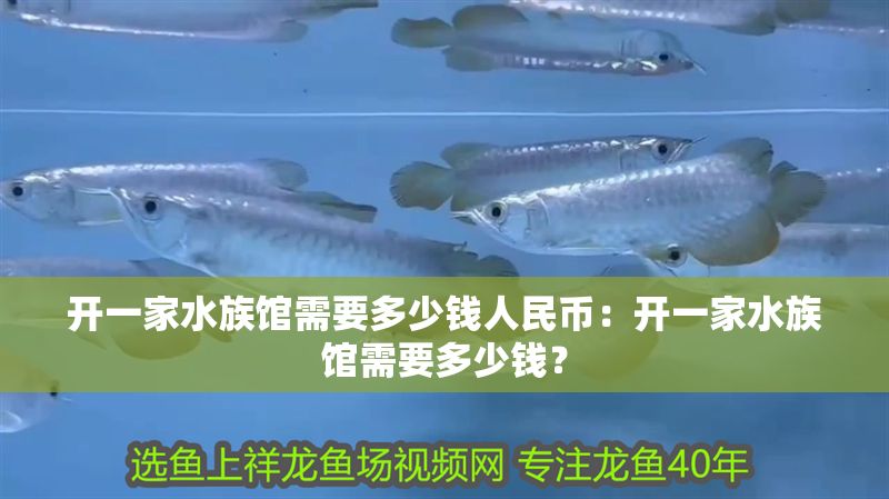 開一家水族館需要多少錢人民幣：開一家水族館需要多少錢？