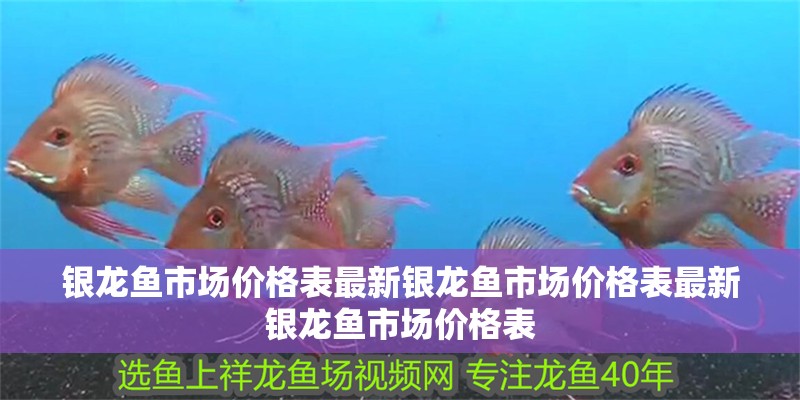 銀龍魚(yú)市場(chǎng)價(jià)格表最新銀龍魚(yú)市場(chǎng)價(jià)格表最新銀龍魚(yú)市場(chǎng)價(jià)格表