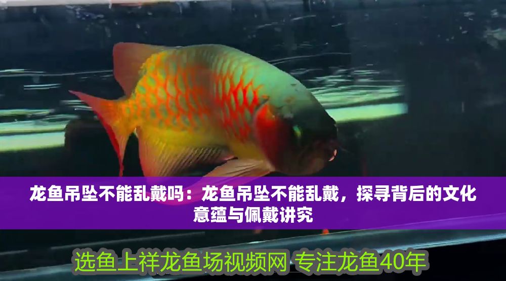 龍魚吊墜不能亂戴嗎：龍魚吊墜不能亂戴，探尋背后的文化意蘊與佩戴講究