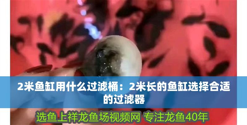 2米魚缸用什么過濾桶：2米長的魚缸選擇合適的過濾器