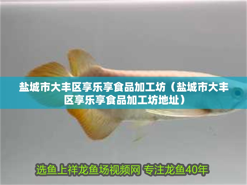 鹽城市大豐區(qū)享樂享食品加工坊（鹽城市大豐區(qū)享樂享食品加工坊地址）