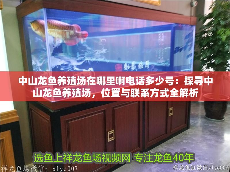 <strong><mark>中山</mark></strong>龍魚養(yǎng)殖場(chǎng)在哪里啊電話多少號(hào)：探尋<strong><mark>中山</mark></strong>龍魚養(yǎng)殖場(chǎng)，位置與聯(lián)系方式全解析