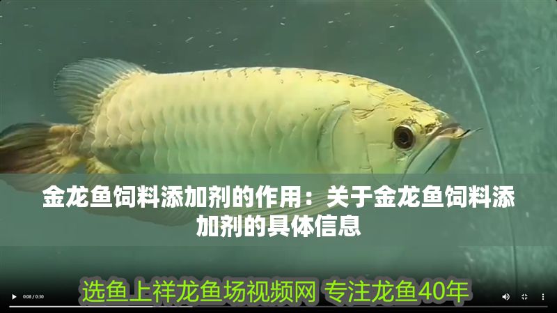 金龍魚飼料添加劑的作用：關于金龍魚飼料添加劑的具體信息