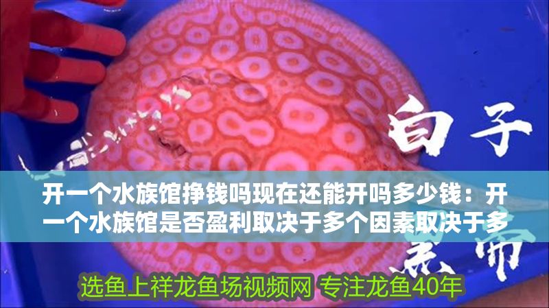 開一個(gè)水族館掙錢嗎現(xiàn)在還能開嗎多少錢：開一個(gè)水族館是否盈利取決于多個(gè)因素取決于多個(gè)因素