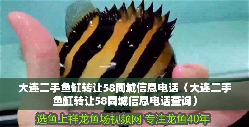 大連二手魚(yú)缸轉(zhuǎn)讓58同城信息電話(大連二手魚(yú)缸轉(zhuǎn)讓58同城信息電話查詢(xún)) 錦鯉魚(yú)百科 第1張 大連二手魚(yú)缸轉(zhuǎn)讓58同城信息電話(大連二手魚(yú)缸轉(zhuǎn)讓58同城信息電話查詢(xún)) 大連二手魚(yú)缸轉(zhuǎn)讓58同城信息電話(大連二手魚(yú)缸轉(zhuǎn)讓58同城信息電話查詢(xún)) 錦鯉魚(yú)百科 第1張