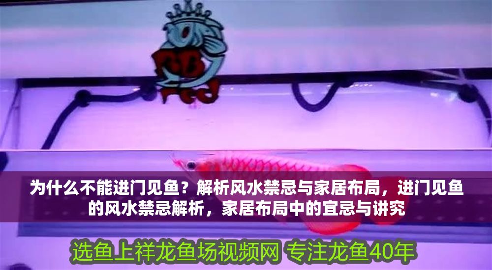 為什么不能進門見魚？解析風水禁忌與家居布局，進門見魚的風水禁忌解析，家居布局中的宜忌與講究