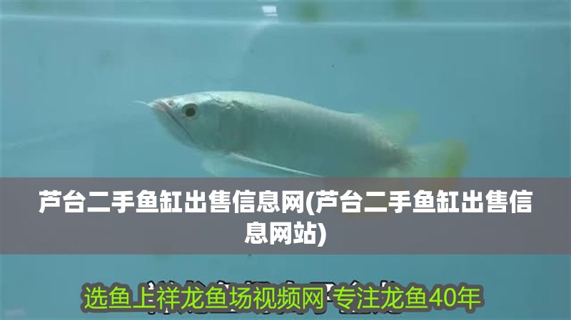蘆臺二手魚缸出售信息網(wǎng)(蘆臺二手魚缸出售信息網(wǎng)站)