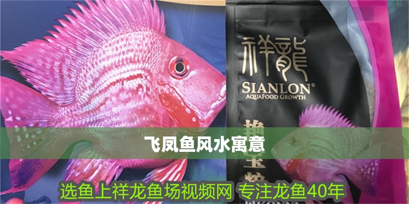 魚缸用增氧泵價格是多少:魚缸增氧機-xtrac增氧機-xtrac增氧機 飛鳳魚風水寓意 龍魚論壇 飛鳳魚風水寓意 飛鳳魚風水寓意 龍魚論壇