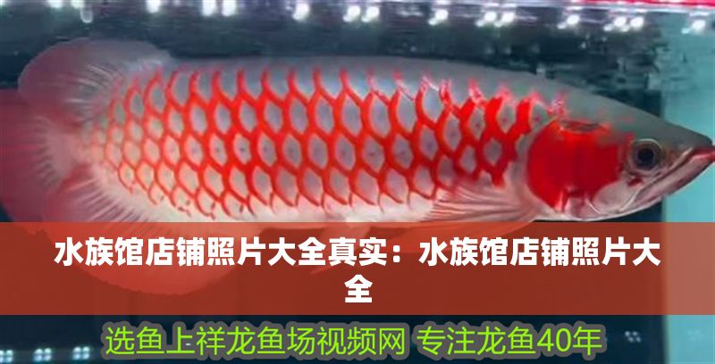 水族館店鋪照片大全真實：水族館店鋪照片大全