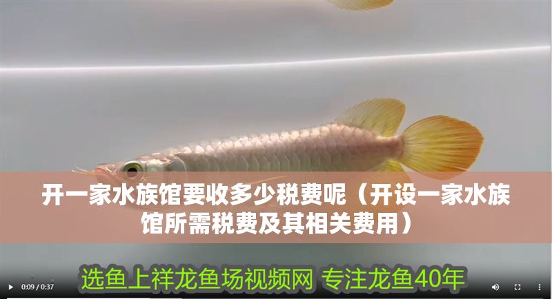 開一家水族館要收多少稅費呢（開設一家水族館所需稅費及其相關費用）