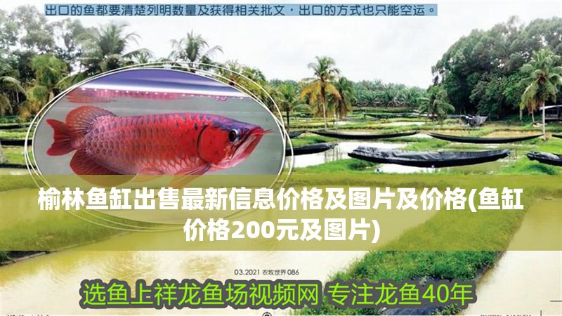 榆林魚缸出售最新信息價格及圖片及價格(魚缸價格200元及圖片) 榆林魚缸出售最新信息價格及圖片及價格(魚缸價格200元及圖片) 黃金貓魚百科 第1張