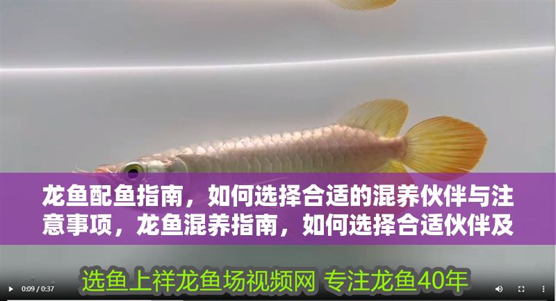 魟魚可以繁殖嗎有毒嗎：魟魚可以繁殖嗎