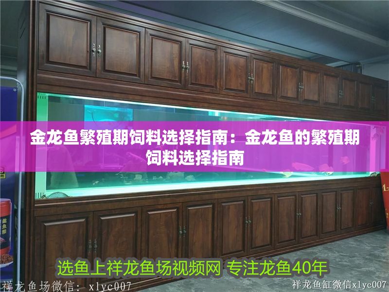 金龍魚繁殖期飼料選擇指南：金龍魚的繁殖期飼料選擇指南