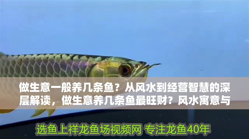 做生意一般養幾條魚？從風水到經營智慧的深層解讀，做生意養幾條魚最旺財？風水寓意與經營策略全解析