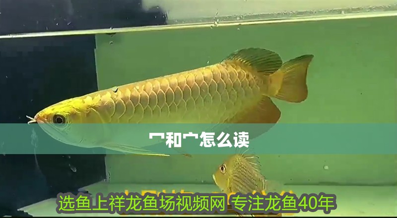 冖和宀怎么讀 冖和宀怎么讀 龍魚論壇
