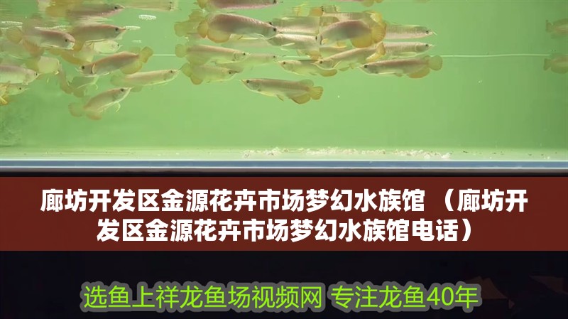 龍魚干蝦有營養嗎 廊坊開發區金源花卉市場夢幻水族館 (廊坊開發區金源花卉市場夢幻水族館電話) 全國水族館企業名錄 廊坊開發區金源花卉市場夢幻水族館 (廊坊開發區金源花卉市場夢幻水族館電話) 廊坊開發區金源花卉市場夢幻水族館 (廊坊開發區金源花卉市場夢幻水族館電話) 全國水族館企業名錄