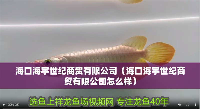 海口海宇世紀(jì)商貿(mào)有限公司（海口海宇世紀(jì)商貿(mào)有限公司怎么樣）
