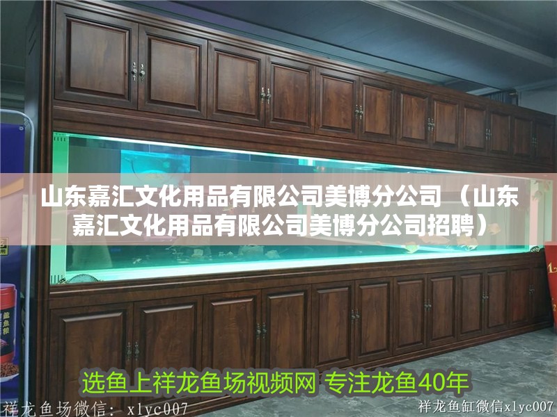 山東嘉匯文化用品有限公司美博分公司 （山東嘉匯文化用品有限公司美博分公司招聘）