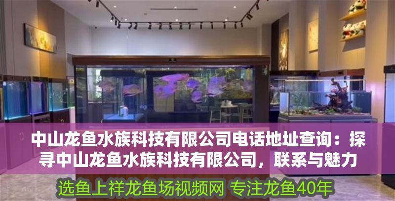 中山龍魚水族科技有限公司電話地址查詢：探尋中山龍魚水族科技有限公司，聯系與魅力