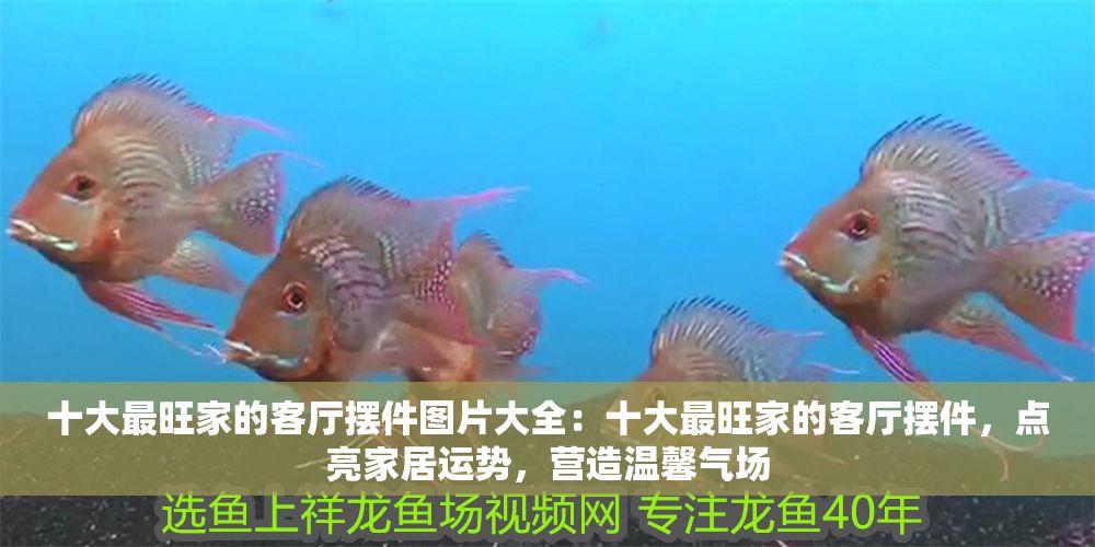 十大最旺家的客廳擺件圖片大全：十大最旺家的客廳擺件，點亮家居運勢，營造溫馨氣場