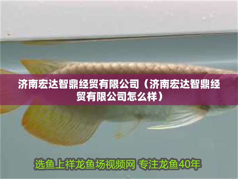 濟南宏達智鼎經貿有限公司（濟南宏達智鼎經貿有限公司怎么樣）