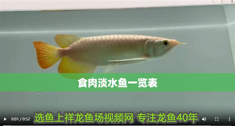 食肉淡水魚一覽表