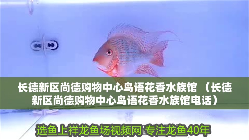 長德新區尚德購物中心鳥語花香水族館 （長德新區尚德購物中心鳥語花香水族館電話）