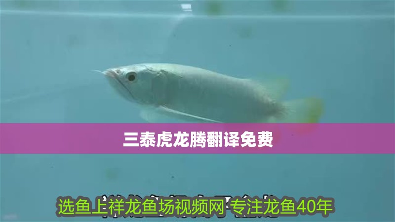 三泰虎龍騰翻譯免費