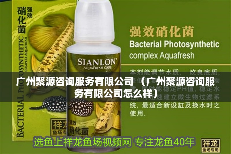 廣州聚源咨詢服務有限公司 （廣州聚源咨詢服務有限公司怎么樣）