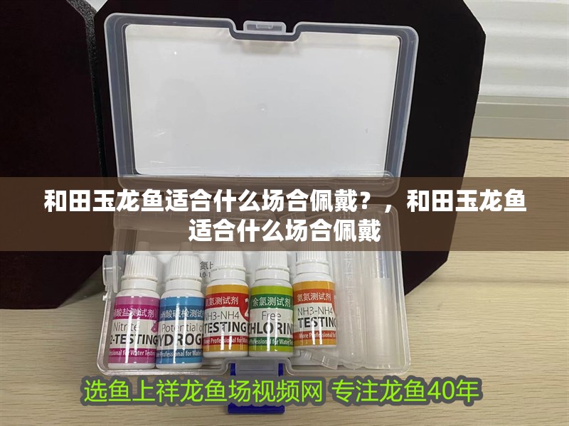 和田玉龍魚適合什么場合佩戴？，和田玉龍魚適合什么場合佩戴 和田玉龍魚適合什么場合佩戴？，和田玉龍魚適合什么場合佩戴 龍魚百科