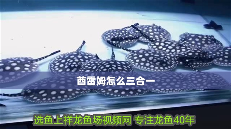 酋雷姆怎么三合一