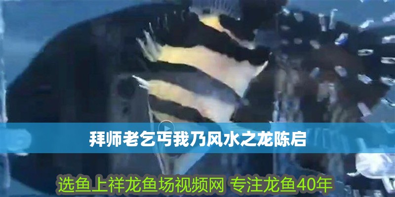 拜師老乞丐我乃風水之龍陳啟