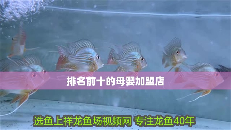 排名前十的母嬰加盟店