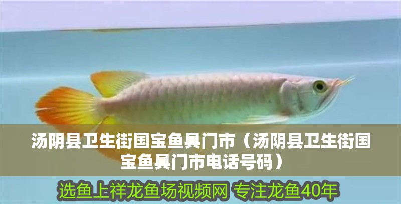 湯陰縣衛(wèi)生街國寶魚具門市（湯陰縣衛(wèi)生街國寶魚具門市電話號(hào)碼）
