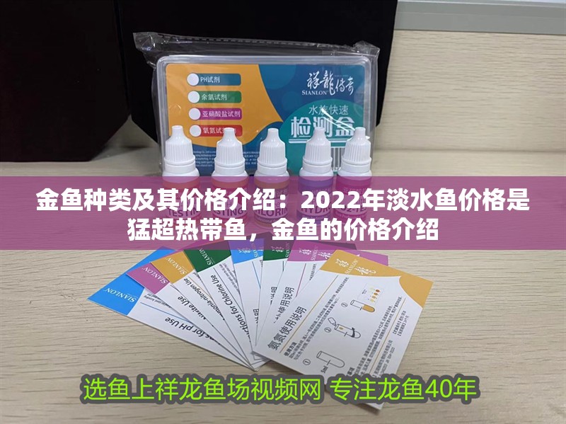 金魚種類及其價格介紹：2022年淡水魚價格是猛超熱帶魚，金魚的價格介紹