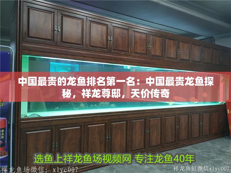 中國最貴的龍魚排名第一名：中國最貴龍魚探秘，祥龍尊邸，天價傳奇