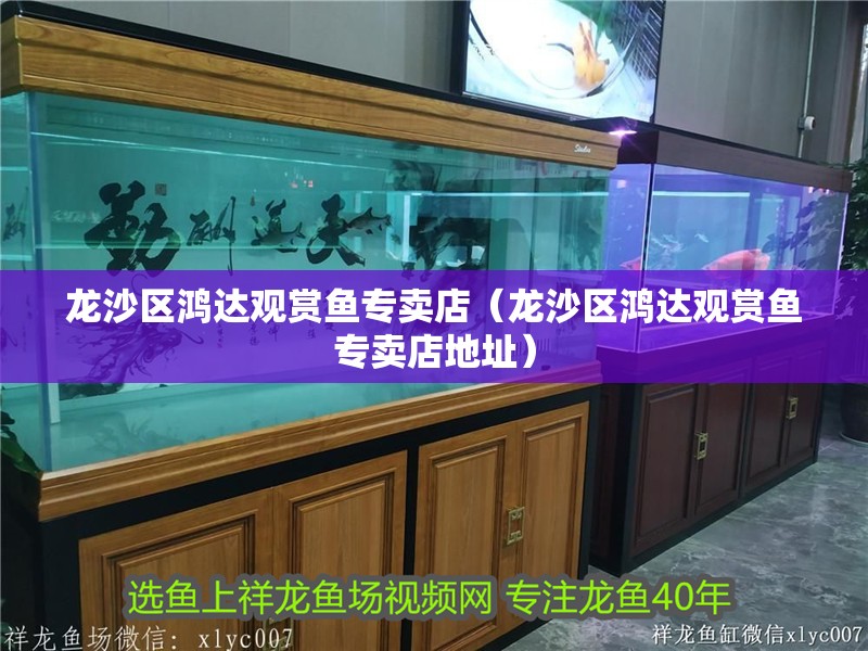 龍沙區鴻達觀賞魚專賣店（龍沙區鴻達觀賞魚專賣店地址）
